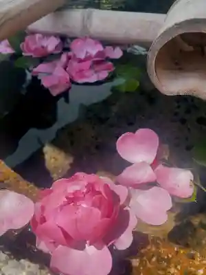 伊豆神社(滋賀県)