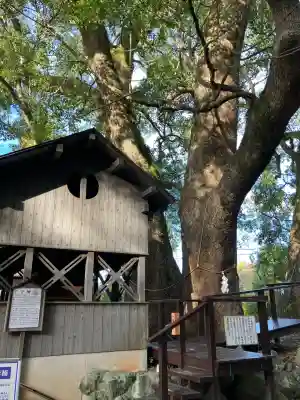 藤白神社(和歌山県)
