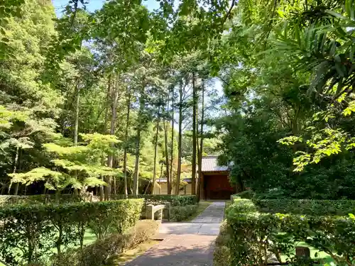 妙興報恩禅寺（妙興寺）のその他建物