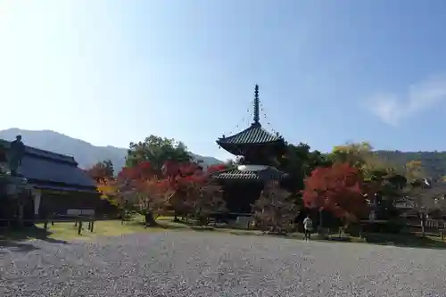 清凉寺の景色