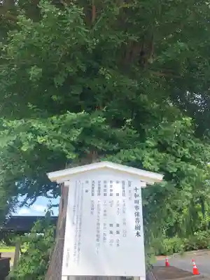 大池神社(青森県)