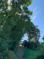 八幡神社の鳥居