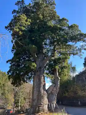 月瀬神社(長野県)