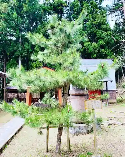 土津神社｜こどもと出世の神さまの庭園