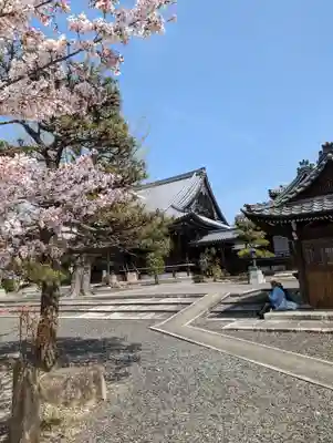 本願寺山科別院(京都府)
