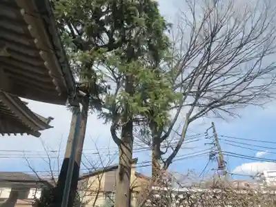 法善寺(東京都)