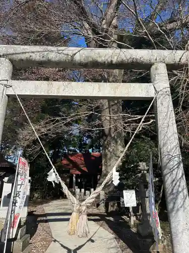 向田神社の鳥居