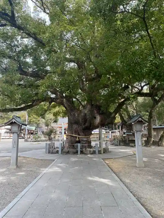 大麻比古神社(徳島県)