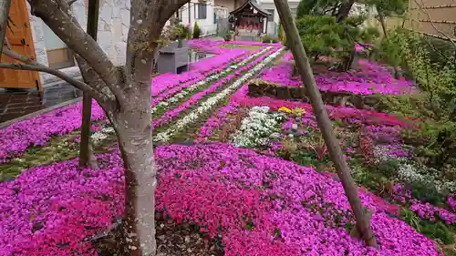 寿量山　速成寺の庭園