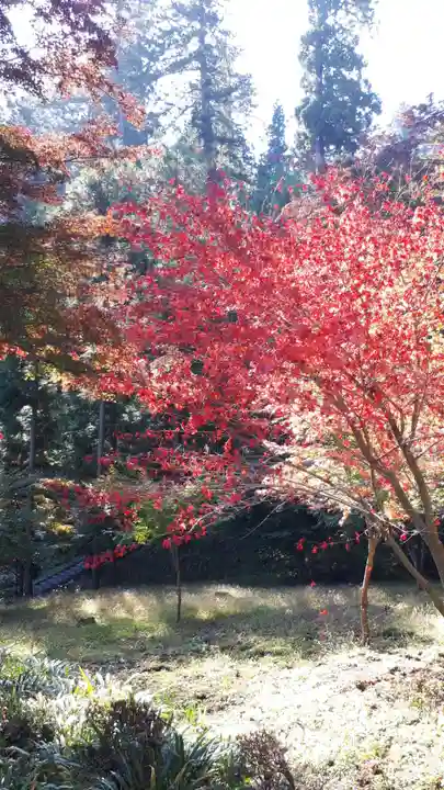 妙義神社の自然