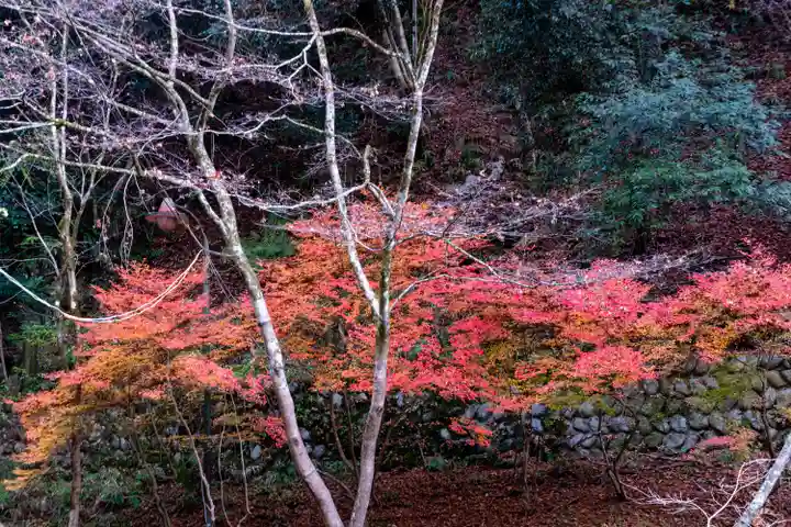 貴船神社結社(京都府)