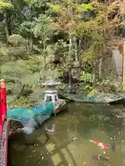 宇倍神社の動物