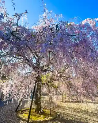 成田山新勝寺(千葉県)