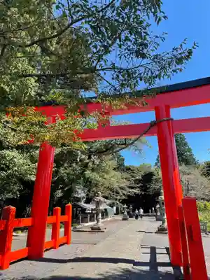 諏訪神社の鳥居