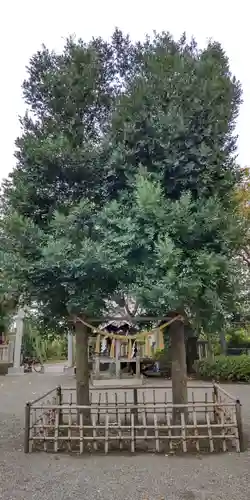 菅谷神社の自然
