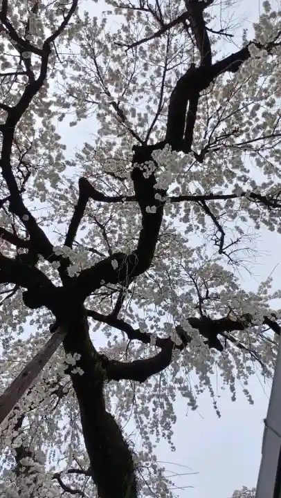 円明寺の{uncategorized: "未分類", other: "その他", undefined: "問題あり", building: "その他建物", grave: "お墓", sacred_gate: "鳥居", guardian: "狛犬", statue: "像", buddha: "仏像", history: "歴史", nature: "自然", garden: "庭園", animal: "動物", pagoda: "塔", temizu: "手水舎", mountain_gate: "山門・神門", sanctuary: "本殿・本堂", subordinate: "末社・摂社", art: "芸術", scenery: "景色", jizo: "地蔵", ema: "絵馬", goshuin: "御朱印", omikuji: "おみくじ", items: "授与品その他", amulet: "お守り", goshuincho: "御朱印帳", eats: "食事", festival: "お祭り", votive_dance: "神楽", shichigosan: "七五三参", wedding: "結婚式", experience: "体験その他", initially: "初詣", around: "周辺", anti_infection: "感染症対策"}