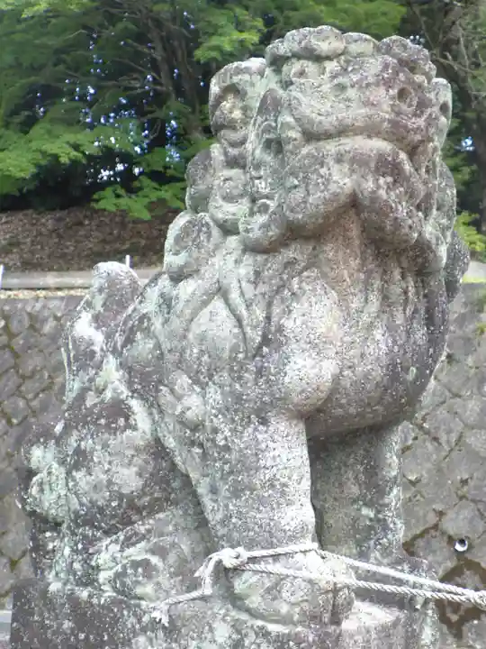 大豊神社の狛犬