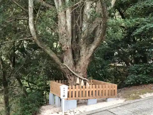 安房神社の自然