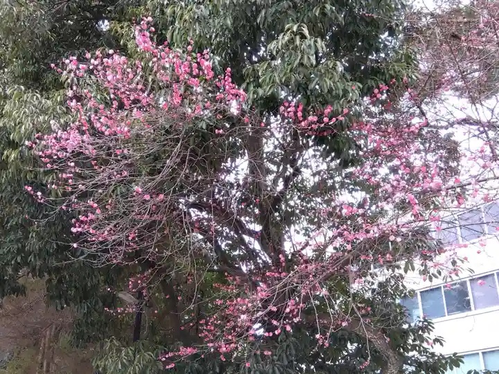 尾山神社(石川県)