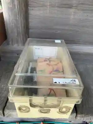 稲荷神社(千葉県)