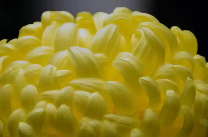 笠間稲荷神社 東京別社の自然