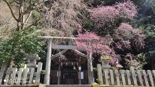 大豊神社の鳥居