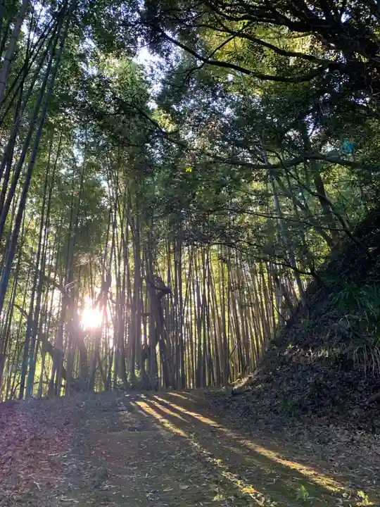 面足神社(千葉県)