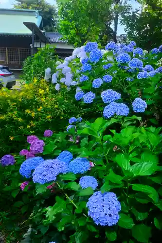 本郷氷川神社(東京都)