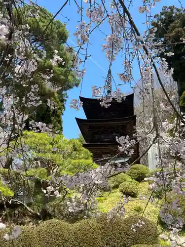 国宝 大法寺(長野県)
