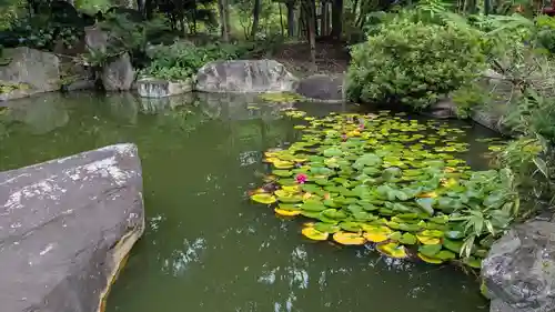 札幌大師　招福寺の庭園
