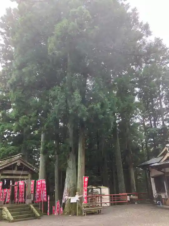 羽黒山神社のその他建物