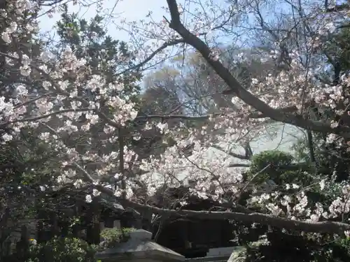 長勝寺の景色