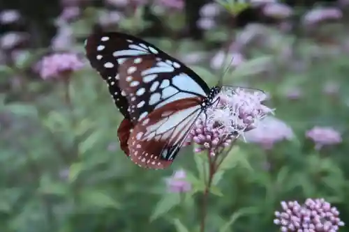 播州清水寺(兵庫県)