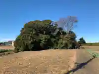 神明神社の周辺