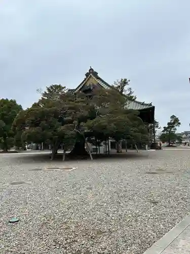成田山新勝寺(千葉県)