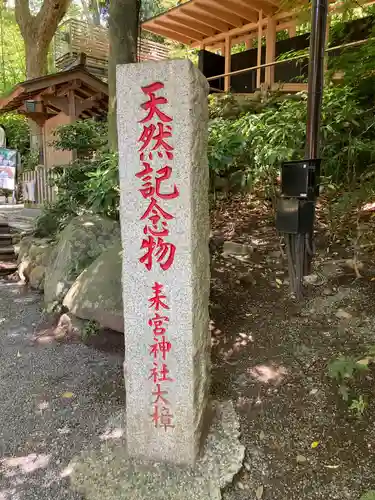來宮神社(静岡県)