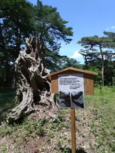 埼玉縣護國神社(埼玉県)