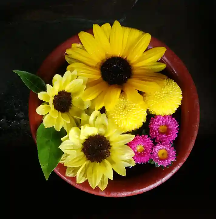 菅生神社の手水舎