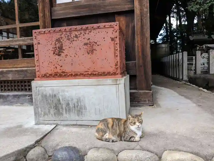 八幡社(柏井町)の動物