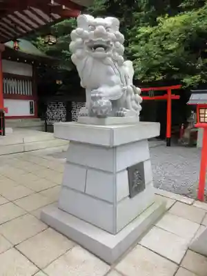 來宮神社の狛犬