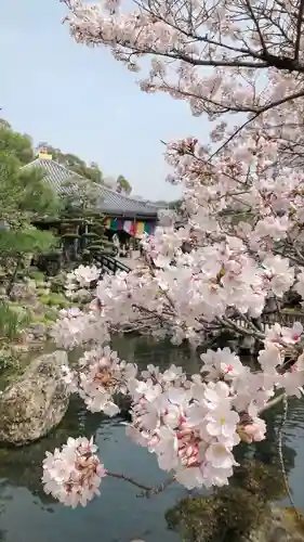 清荒神清澄寺の庭園