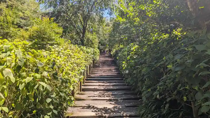 明月院(神奈川県)