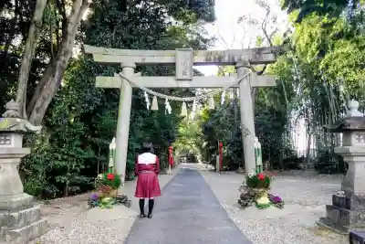 白山媛神社（上条白山媛神社）の{uncategorized: "未分類", other: "その他", undefined: "問題あり", building: "その他建物", grave: "お墓", sacred_gate: "鳥居", guardian: "狛犬", statue: "像", buddha: "仏像", history: "歴史", nature: "自然", garden: "庭園", animal: "動物", pagoda: "塔", temizu: "手水舎", mountain_gate: "山門・神門", sanctuary: "本殿・本堂", subordinate: "末社・摂社", art: "芸術", scenery: "景色", jizo: "地蔵", ema: "絵馬", goshuin: "御朱印", omikuji: "おみくじ", items: "授与品その他", amulet: "お守り", goshuincho: "御朱印帳", eats: "食事", festival: "お祭り", votive_dance: "神楽", shichigosan: "七五三参", wedding: "結婚式", experience: "体験その他", initially: "初詣", around: "周辺", anti_infection: "感染症対策"}