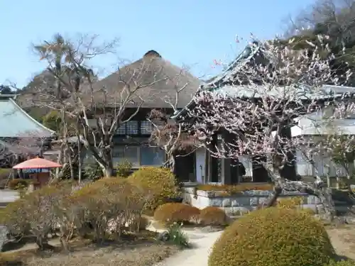 海蔵寺の庭園