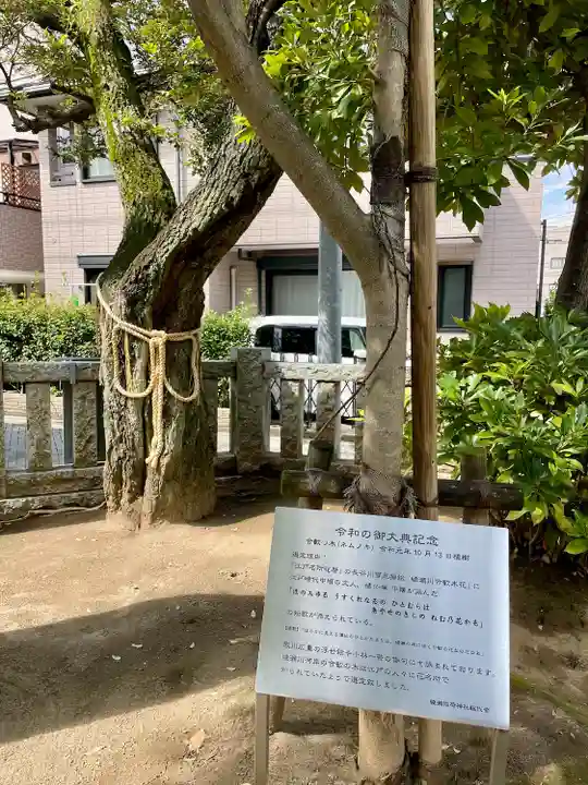 綾瀬稲荷神社(東京都)