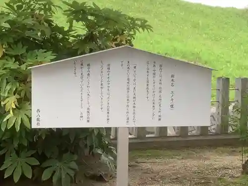 西八龍社の自然