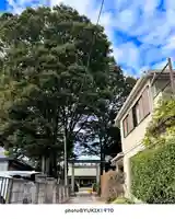 上落合神明神社(埼玉県)