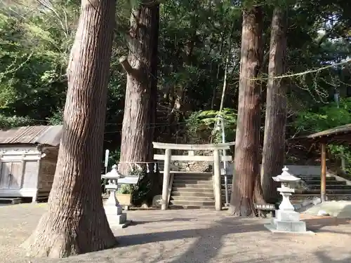 島大国魂御子神社の自然