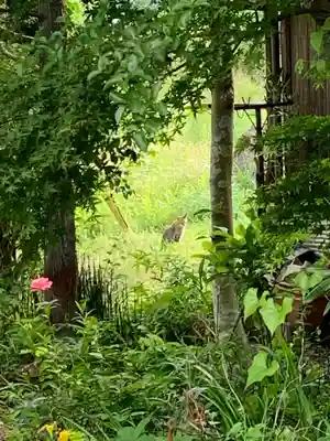 医光寺(群馬県)