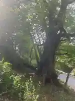 登米神社(宮城県)